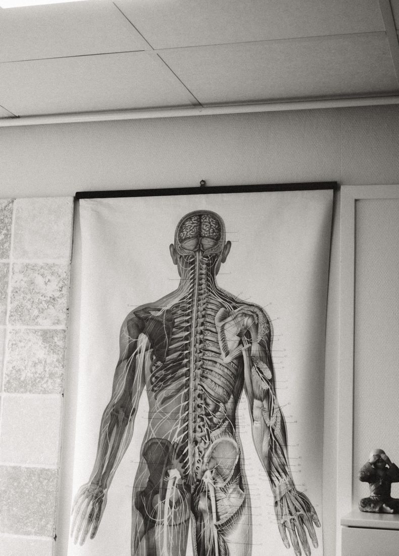 Vossen Osteopathie - 48Hours